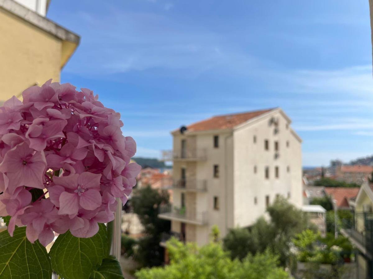 Apartman Zeljka Appartement